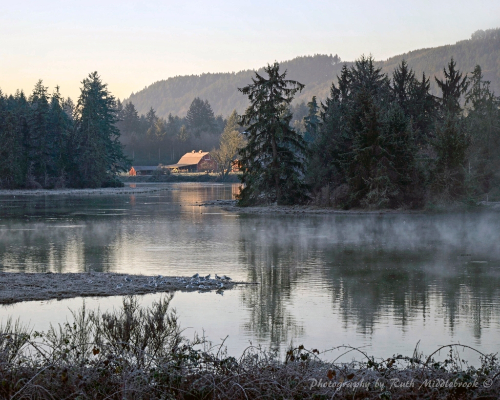 Mud Bay surrounding by trees, morning mist and a cabin 
